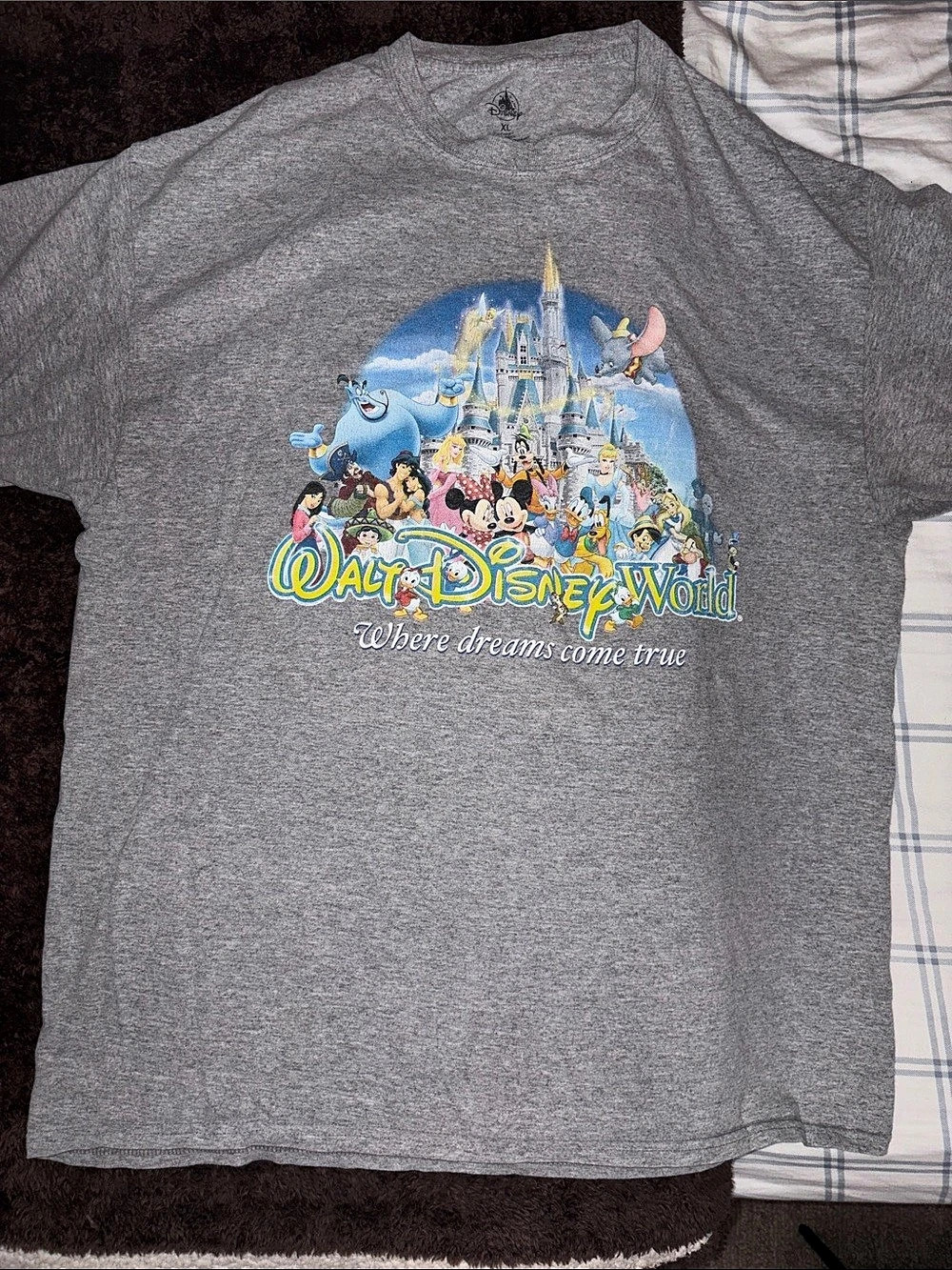 Disney Walt Disney World Where Dreams Come True Cast Characters T-Shirt Gray XL